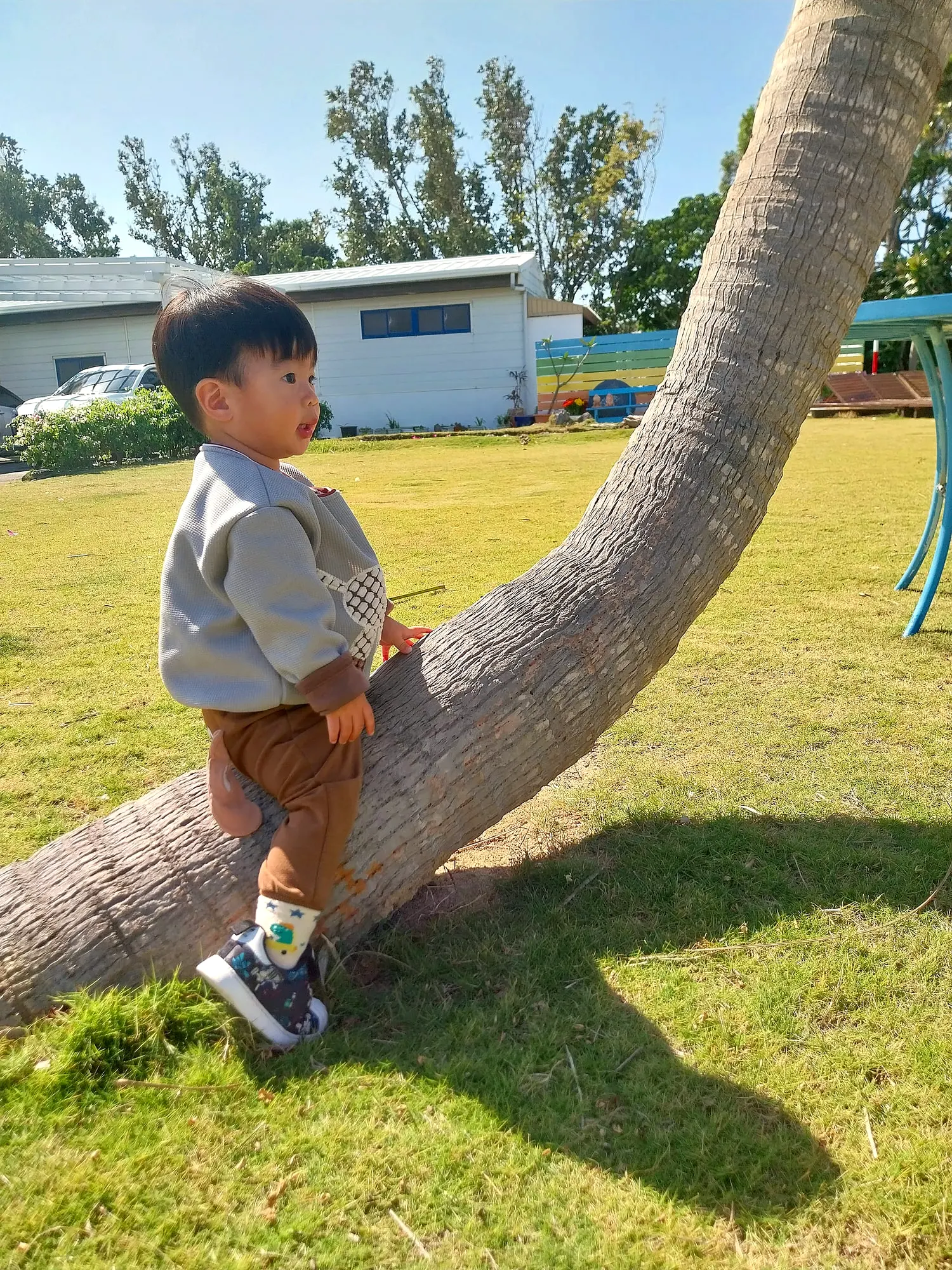 Kids playing under the palms