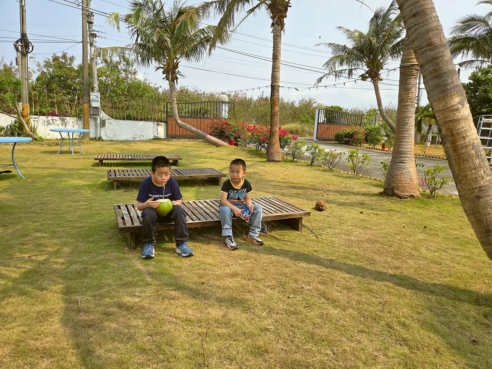 孩子在草坪上喝椰子水