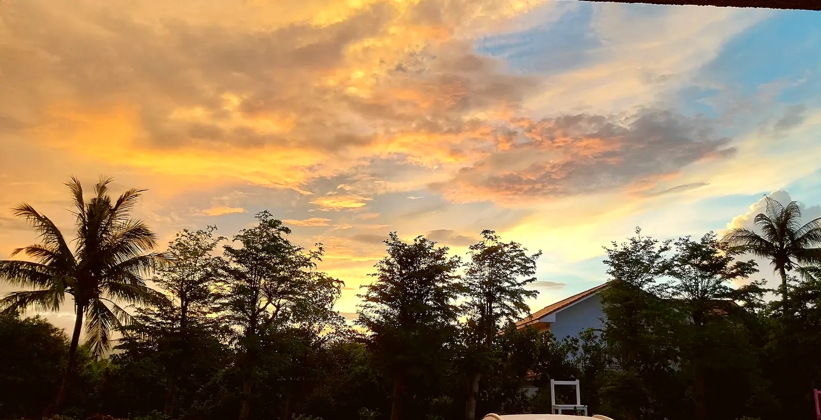 椰影夕陽